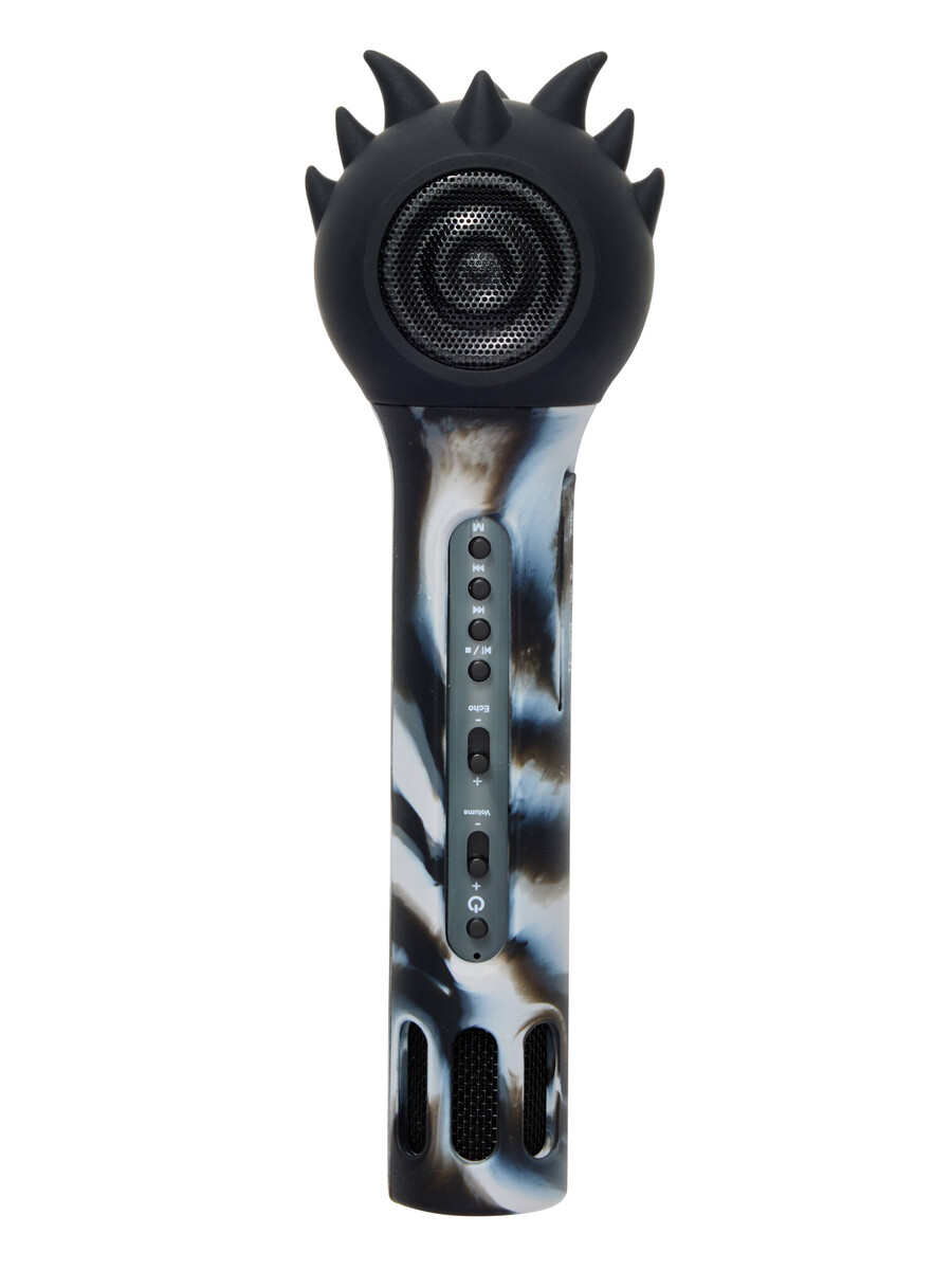 karaoke microphone and speaker